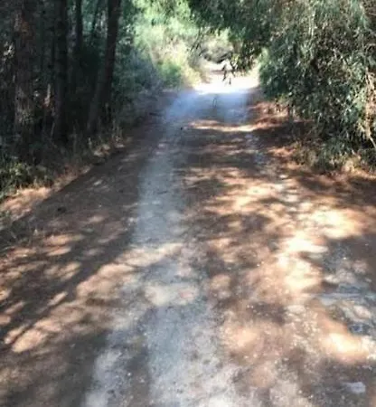 Hébergement de vacances Villavillachiara Lesina